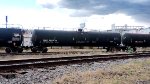 SRIX 33619